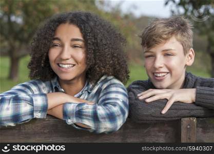 Mixed race group of two happy children teenagers, African American girl caucasian boy leaning on fence laughing together in the countryside