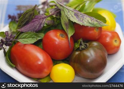 Mixed tomato varieties: &rsquo;Black Russion&rsquo;, &rsquo;Lemon Tree&rsquo;, &rsquo;Plum&rsquo;, &rsquo;Shirley&rsquo;. Basil Aristotle and regular large leaf green.