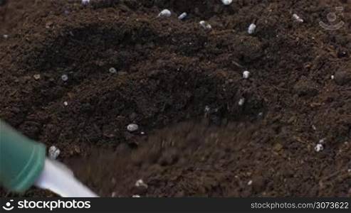Mixing dirt with fertilizer with hand shovel close up, agriculture
