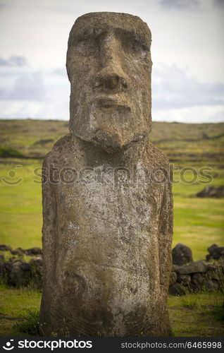 Moais at Ahu Tongariki (Easter island, Chile)