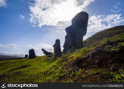 Moais statues on Rano Raraku volcano, easter island, Chile. Moais statues on Rano Raraku volcano, easter island