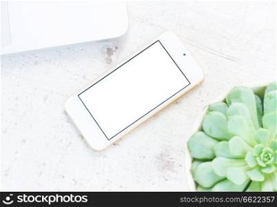 Mock up styled flat lay scene with white laptop, plant and phone, copy space on blank screen. Mock up with white phone