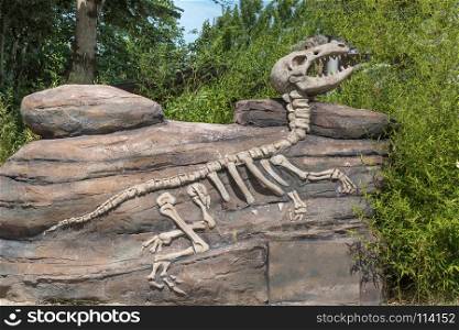 Model Dinosaur Skeleton in Stone Fossil inside a Park in Italy. Model Dinosaur Fossil inside a Park in Italy