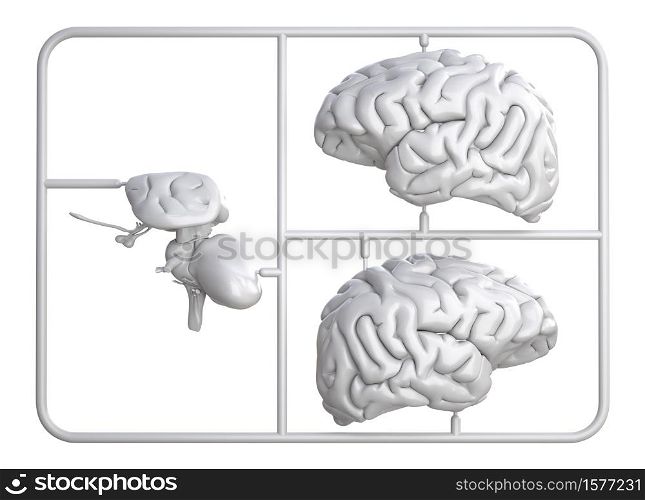 Model kit set with pink brain parts isolated on white. 3D illustration. Model kit set with pink brain parts.