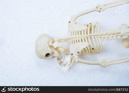 Model of artificial Human Skeleton on gray background