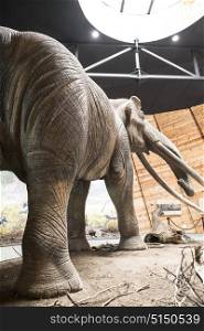 Model of mastodon in real stature.
