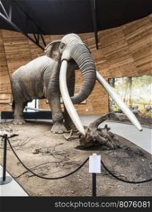 Model of mastodon in real stature.