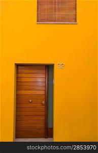 Modern apartment door
