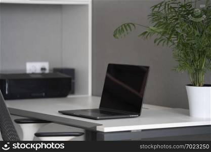 Modern black screen of laptop, greenery in pot on a table, equipment on booksshelve. Well-organized ergonomics of work place in the office with natural daylighting.. New modern laptop with black screen, up-to-date equipment and green flowerpot on an office table. Green workspace concept.