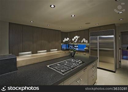 Modern domestic kitchen