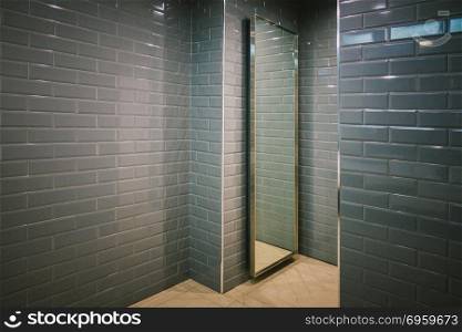 Modern Empty restroom, interior design, mock up