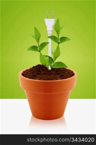 modern energy-saving concept, bright bulb in garden pot with small plant.