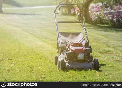 Modern gasoline lawn mower on a green meadow. Gardening equipment
