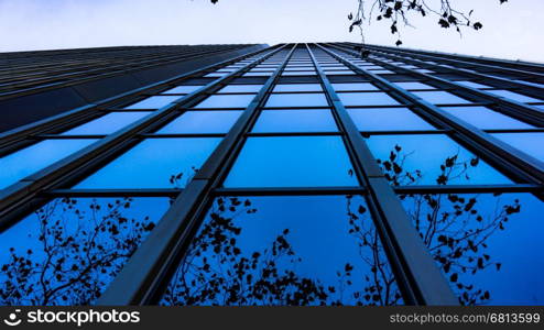 Modern glass silhouettes of skyscrapers. Business building