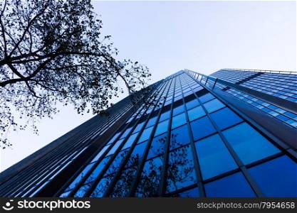 Modern glass silhouettes of skyscrapers. office buildings