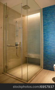 Modern interior bathroom shower. Glass shower
