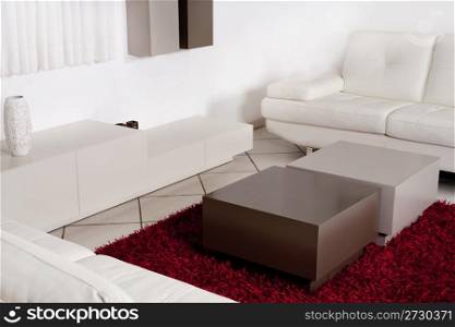 Modern interior of a room with white leather couch and fury red carpet