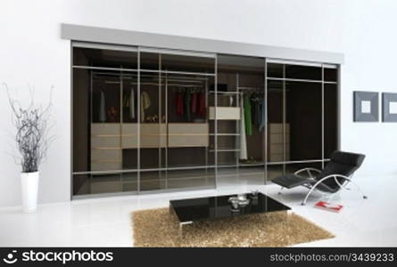 modern interior with cloakroom (3D rendering)