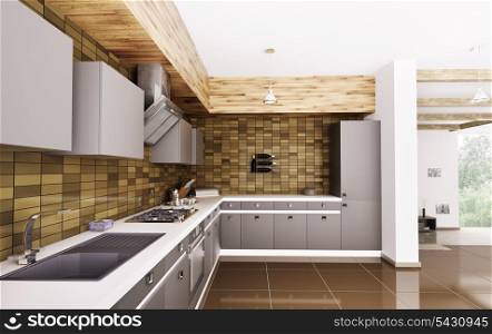 Modern kitchen with sink,gas stove and hood interior 3d