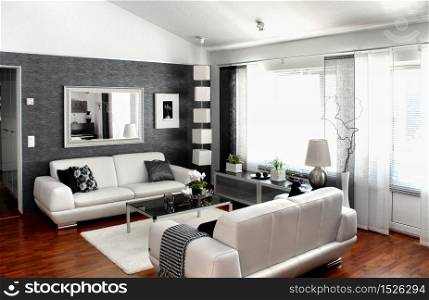 Modern living room interior furniture and decoration. Modern living room