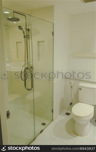 Modern luxury flush toilet and shower