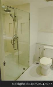 Modern luxury flush toilet and shower
