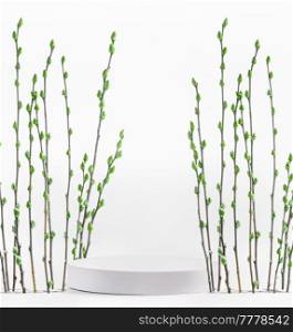 Modern product display with podium and green pussy willow at white background . Showcase for beauty product. Front view with copy space. Springtime
