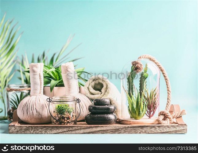 Modern spa , wellness and body care concept. Massage equipment: rolled towels, compress balls, stack of hot stones on wooden table with various succulent plants in glass at light blue background