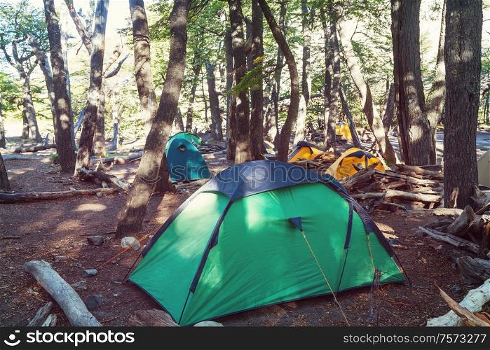 Modern tourist tent hanging between trees in green forest