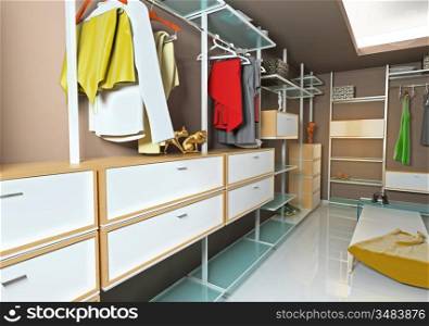 modern wardrobe interior (3D rendering)