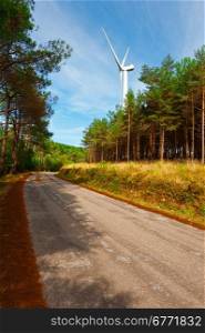 Modern Wind Turbines near Forest Asphalt Road in Portugal
