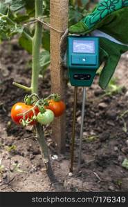 Moisture meter tester in soil. Measure soil for humidity on tomato plants with digital device. Woman farmer in a garden. Concept for new technology in the agriculture.