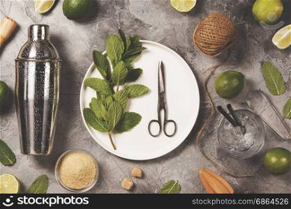 Mojito cocktail ingredients on rustic background