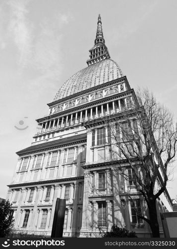 Mole Antonelliana, Turin. The Mole Antonelliana, Turin (Torino), Piedmont, Italy