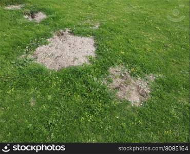 Mole holes in a lawn. Hole excavated by a mole in meadow