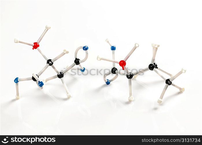 Molecular models of two amino acids