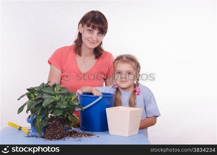 Mom and daughter five-year houseplant transplanted from one pot to another