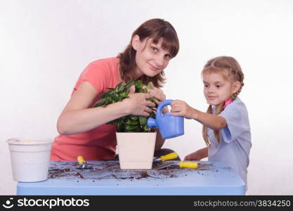 Mom and daughter five-year houseplant transplanted from one pot to another