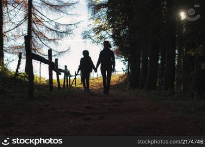 Mom and son walk hand in hand in a forest during a hike