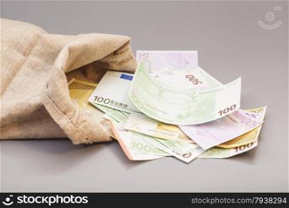 Money bag with euro isolated on gray background