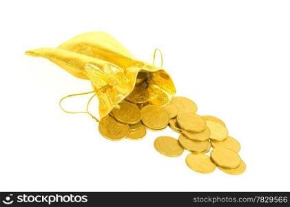 Money coins in golden bag isolated on white