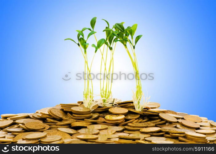 Money growth concept with coins and seedling