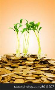 Money growth concept with coins and seedling