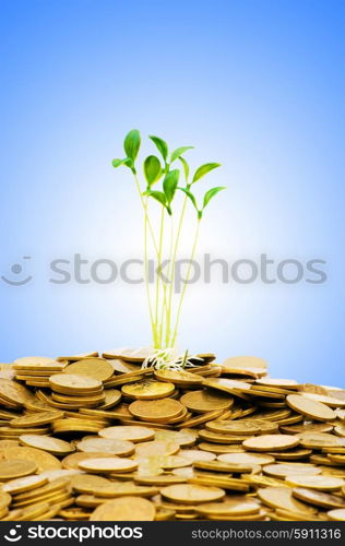 Money growth concept with coins and seedling