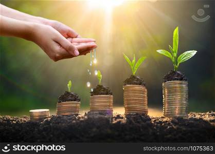 Money growth Saving money. Upper tree coins to shown concept of growing business
