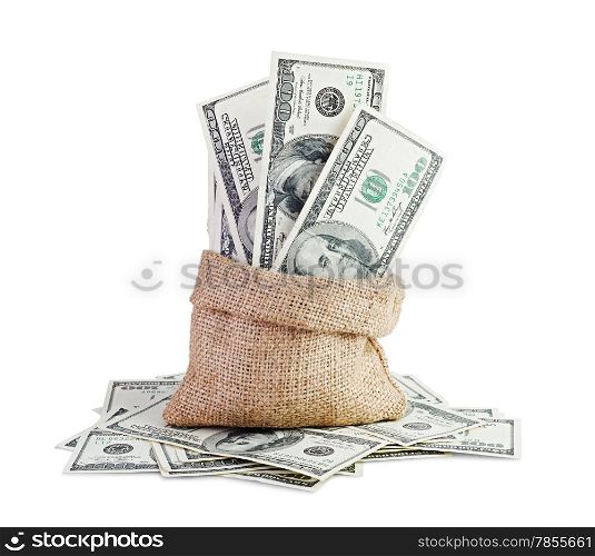 Money in the bag isolated on white background