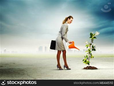 Money making concept. Image of businesswoman watering money tree with pot