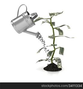 Money plant over white background. computer generated image