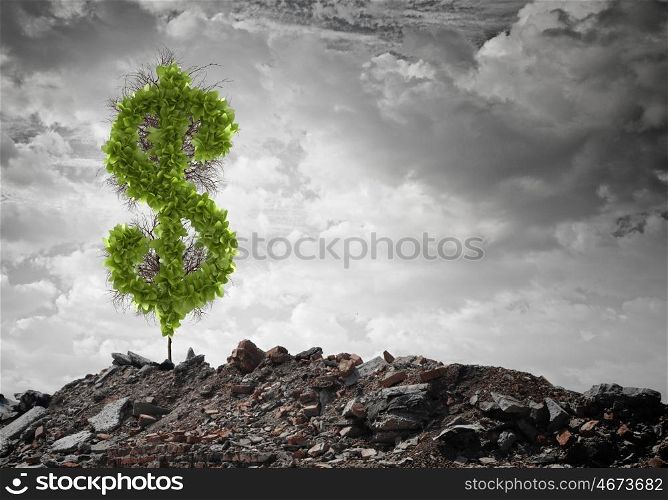 Money savings. Conceptual image of green dollar sign growing on ruins