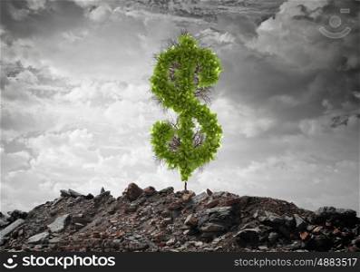Money savings. Conceptual image of green dollar sign growing on ruins